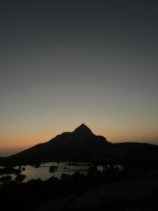 jawai prime safari gallery 03